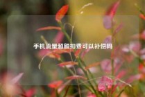 手机流量超额扣费可以补偿吗