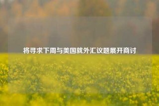 将寻求下周与美国就外汇议题展开商讨