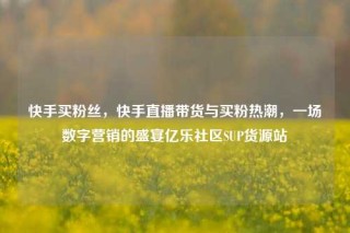 快手买粉丝，快手直播带货与买粉热潮，一场数字营销的盛宴亿乐社区SUP货源站