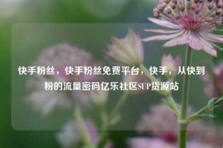 快手粉丝，快手粉丝免费平台，快手，从快到粉的流量密码亿乐社区SUP货源站