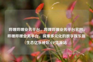 哔哩哔哩业务平台，哔哩哔哩业务平台官网，哔哩哔哩业务平台，探索多元化的数字娱乐新生态亿乐社区SUP货源站