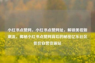 小红书点赞网，小红书点赞网址，解锁美妆新潮流，揭秘小红书点赞网背后的秘密亿乐社区低价自营货源站