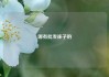 哪有批发袜子的