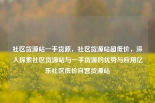社区货源站一手货源，社区货源站超低价，深入探索社区货源站与一手货源的优势与应用亿乐社区低价自营货源站