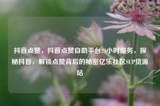 抖音点赞，抖音点赞自助平台24小时服务，探秘抖音，解锁点赞背后的秘密亿乐社区SUP货源站
