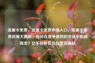 流量卡免费，流量卡免费申请入口，流量卡免费政策大揭秘，如何在竞争激烈的市场中脱颖而出？亿乐社区低价自营货源站