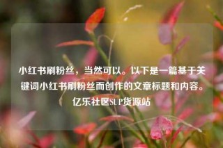 小红书刷粉丝，当然可以。以下是一篇基于关键词小红书刷粉丝而创作的文章标题和内容。亿乐社区SUP货源站