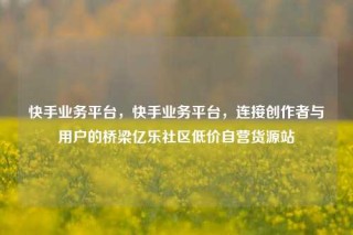 快手业务平台，快手业务平台，连接创作者与用户的桥梁亿乐社区低价自营货源站