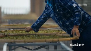 喝奶茶的年轻人，腻了？