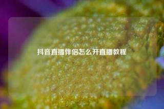 抖音直播伴侣怎么开直播教程