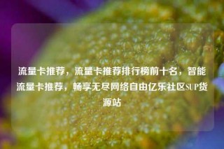 流量卡推荐，流量卡推荐排行榜前十名，智能流量卡推荐，畅享无尽网络自由亿乐社区SUP货源站