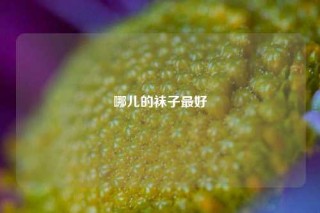 哪儿的袜子最好