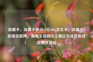 流量卡，流量卡移动19元200g大王卡，流量卡，连接互联网，点亮生活的小工具亿乐社区低价自营货源站