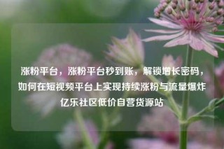 涨粉平台，涨粉平台秒到账，解锁增长密码，如何在短视频平台上实现持续涨粉与流量爆炸亿乐社区低价自营货源站