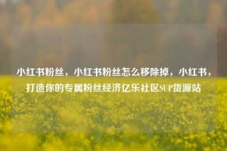 小红书粉丝，小红书粉丝怎么移除掉，小红书，打造你的专属粉丝经济亿乐社区SUP货源站