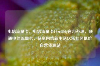 电信流量卡，电信流量卡19元200g官方办理，联通电信流量卡，畅享网络新生活亿乐社区低价自营货源站