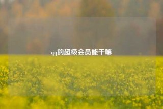 qq的超级会员能干嘛