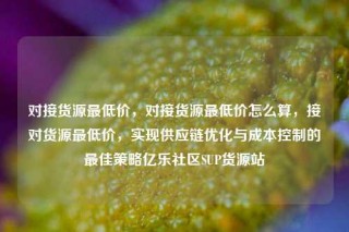 对接货源最低价，对接货源最低价怎么算，接对货源最低价，实现供应链优化与成本控制的最佳策略亿乐社区SUP货源站