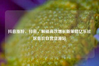 抖音涨粉，抖音，解锁高效增长新策略亿乐社区低价自营货源站