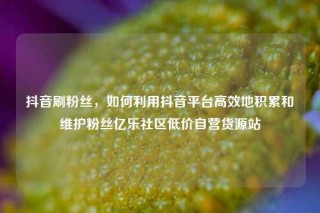 抖音刷粉丝，如何利用抖音平台高效地积累和维护粉丝亿乐社区低价自营货源站