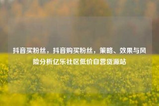 抖音买粉丝，抖音购买粉丝，策略、效果与风险分析亿乐社区低价自营货源站