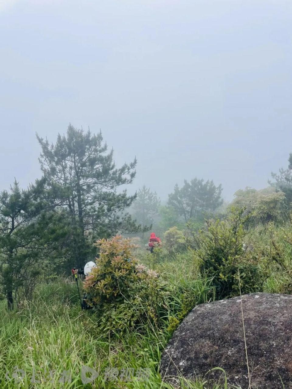 8岁男童登山失联12天，搜救仍在继续，专业人士：是否终止救援主要看两点  第2张