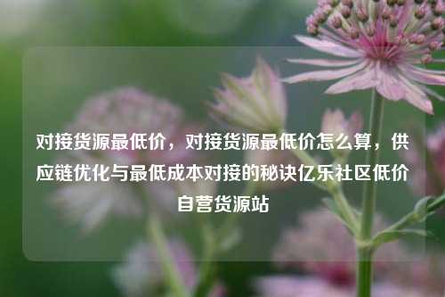 对接货源最低价，对接货源最低价怎么算，供应链优化与最低成本对接的秘诀亿乐社区低价自营货源站  第1张