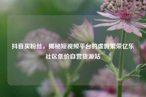 抖音买粉丝，揭秘短视频平台的虚假繁荣亿乐社区低价自营货源站  第1张