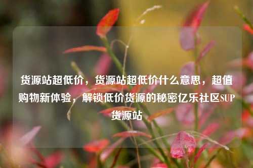 货源站超低价，货源站超低价什么意思，超值购物新体验	，解锁低价货源的秘密亿乐社区SUP货源站  第1张