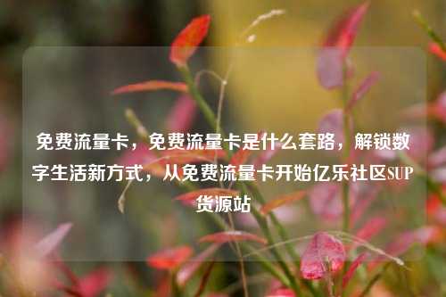 免费流量卡，免费流量卡是什么套路，解锁数字生活新方式	，从免费流量卡开始亿乐社区SUP货源站  第1张