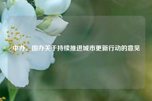 中办、国办关于持续推进城市更新行动的意见  第1张