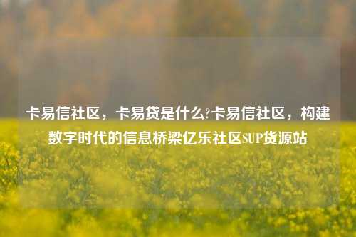 卡易信社区，卡易贷是什么?卡易信社区，构建数字时代的信息桥梁亿乐社区SUP货源站  第1张