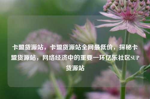 卡盟货源站，卡盟货源站全网最低价，探秘卡盟货源站	，网络经济中的重要一环亿乐社区SUP货源站  第1张