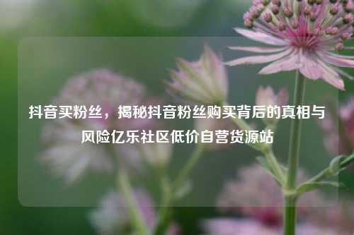 抖音买粉丝，揭秘抖音粉丝购买背后的真相与风险亿乐社区低价自营货源站  第1张