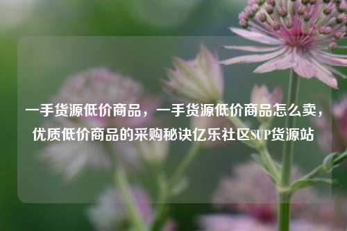 一手货源低价商品	，一手货源低价商品怎么卖，优质低价商品的采购秘诀亿乐社区SUP货源站  第1张