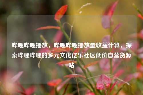 哔哩哔哩播放，哔哩哔哩播放量收益计算，探索哔哩哔哩的多元文化亿乐社区低价自营货源站  第1张