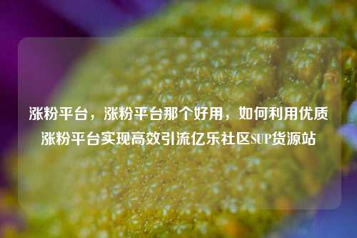 涨粉平台，涨粉平台那个好用，如何利用优质涨粉平台实现高效引流亿乐社区SUP货源站  第1张