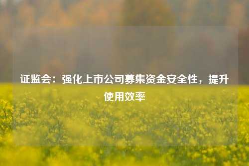 证监会：强化上市公司募集资金安全性	，提升使用效率  第1张