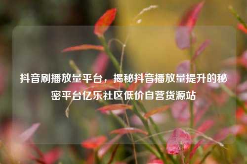 抖音刷播放量平台	，揭秘抖音播放量提升的秘密平台亿乐社区低价自营货源站  第1张