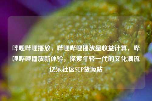 哔哩哔哩播放	，哔哩哔哩播放量收益计算，哔哩哔哩播放新体验，探索年轻一代的文化潮流亿乐社区SUP货源站  第1张