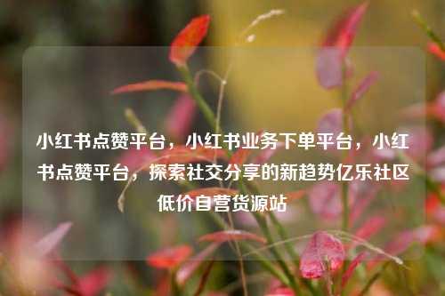 小红书点赞平台	，小红书业务下单平台，小红书点赞平台，探索社交分享的新趋势亿乐社区低价自营货源站  第1张