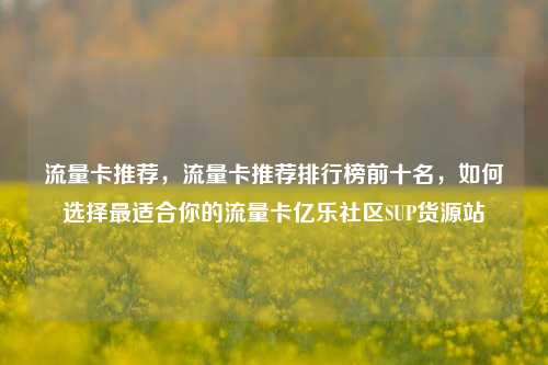 流量卡推荐，流量卡推荐排行榜前十名，如何选择最适合你的流量卡亿乐社区SUP货源站  第1张