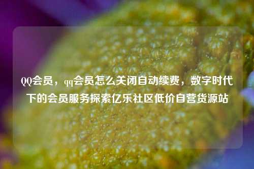 QQ会员	，qq会员怎么关闭自动续费，数字时代下的会员服务探索亿乐社区低价自营货源站  第1张