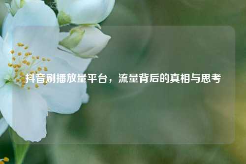 抖音刷播放量平台	，流量背后的真相与思考  第1张