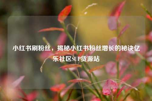 小红书刷粉丝，揭秘小红书粉丝增长的秘诀亿乐社区SUP货源站  第1张