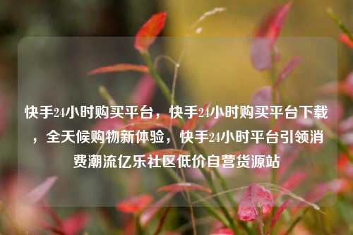 快手24小时购买平台，快手24小时购买平台下载	，全天候购物新体验，快手24小时平台引领消费潮流亿乐社区低价自营货源站  第1张