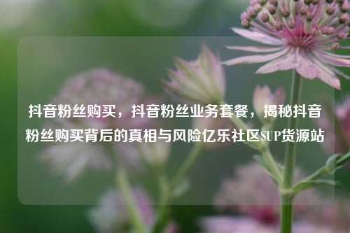 抖音粉丝购买，抖音粉丝业务套餐，揭秘抖音粉丝购买背后的真相与风险亿乐社区SUP货源站  第1张