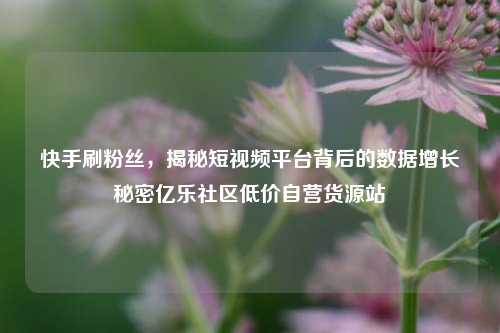快手刷粉丝，揭秘短视频平台背后的数据增长秘密亿乐社区低价自营货源站  第1张