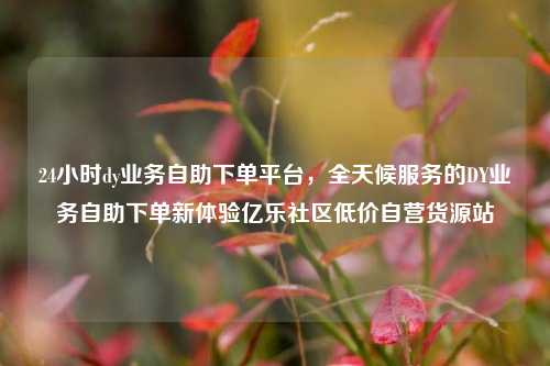 24小时dy业务自助下单平台，全天候服务的DY业务自助下单新体验亿乐社区低价自营货源站  第1张