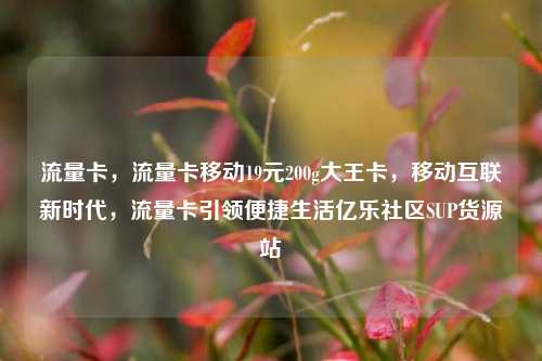 流量卡，流量卡移动19元200g大王卡	，移动互联新时代，流量卡引领便捷生活亿乐社区SUP货源站  第1张